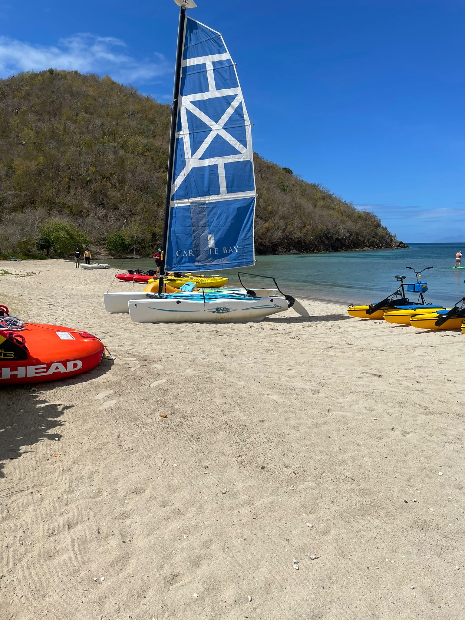 Enjoy the Caribbean