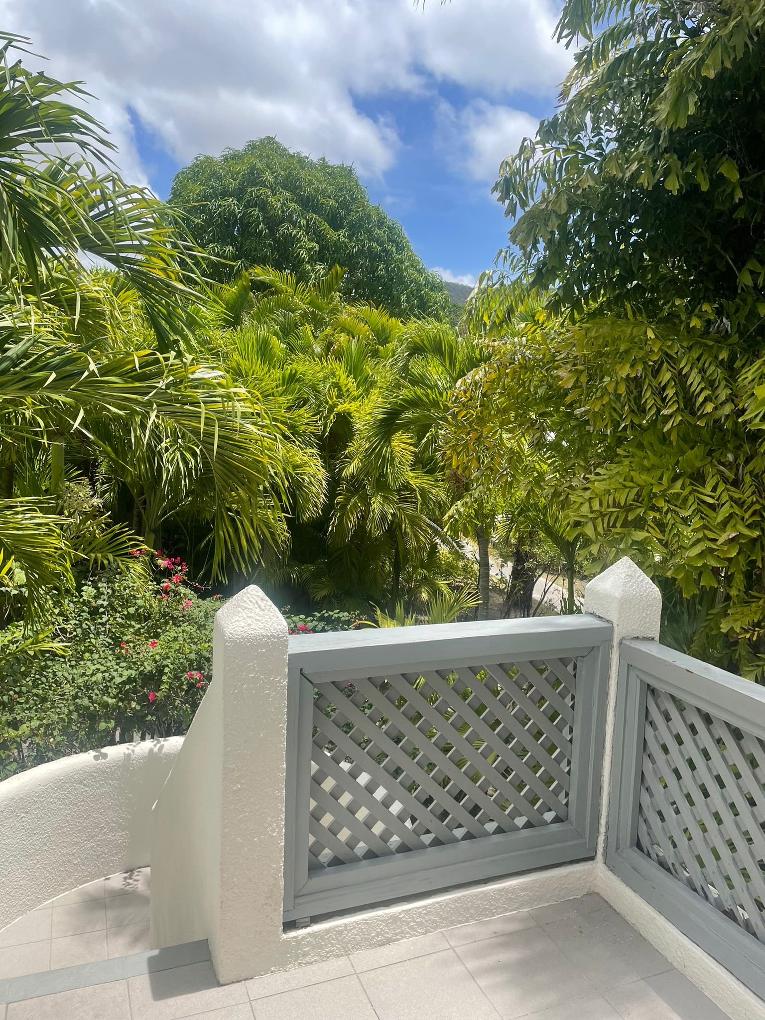 Stay in Antigua